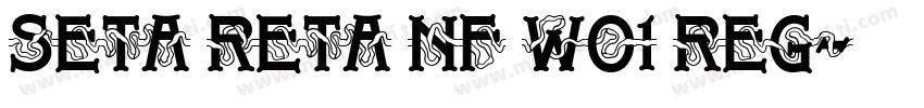 Seta Reta NF WO1 Reg字体转换